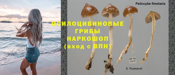 ешки Козельск